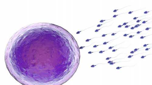 (a)试管供卵代孕,清远三代试管胚胎筛选费用