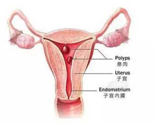 西安代代孕孕中介,武汉供卵机构的基本情况-武汉供卵中心地址在哪里