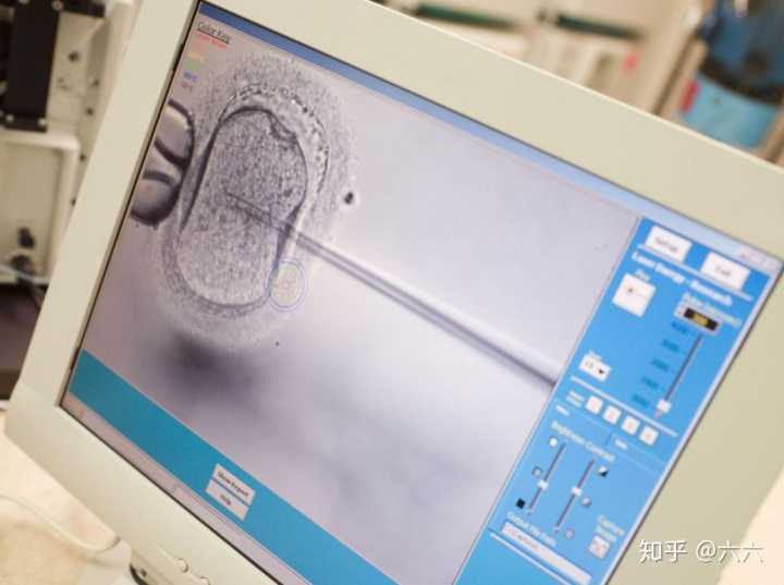 武汉二院可以供精吗,武汉协和医院生殖中心做试管婴儿移植囊胚成功率怎么样
