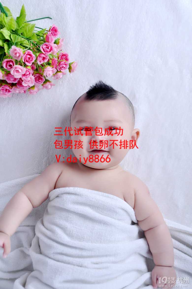 贵州国内供卵_失独家庭去美国做试管婴儿，如何迎来新生命?